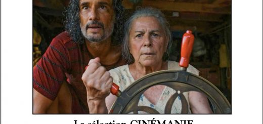 la revue irrégulomadaire de vive le cinéma
